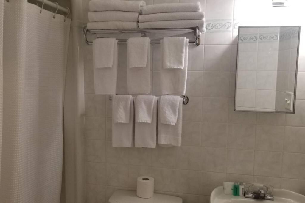 Cozy 1-Bdr Suite #20 By Amazing Property Rentals 加蒂诺 外观 照片